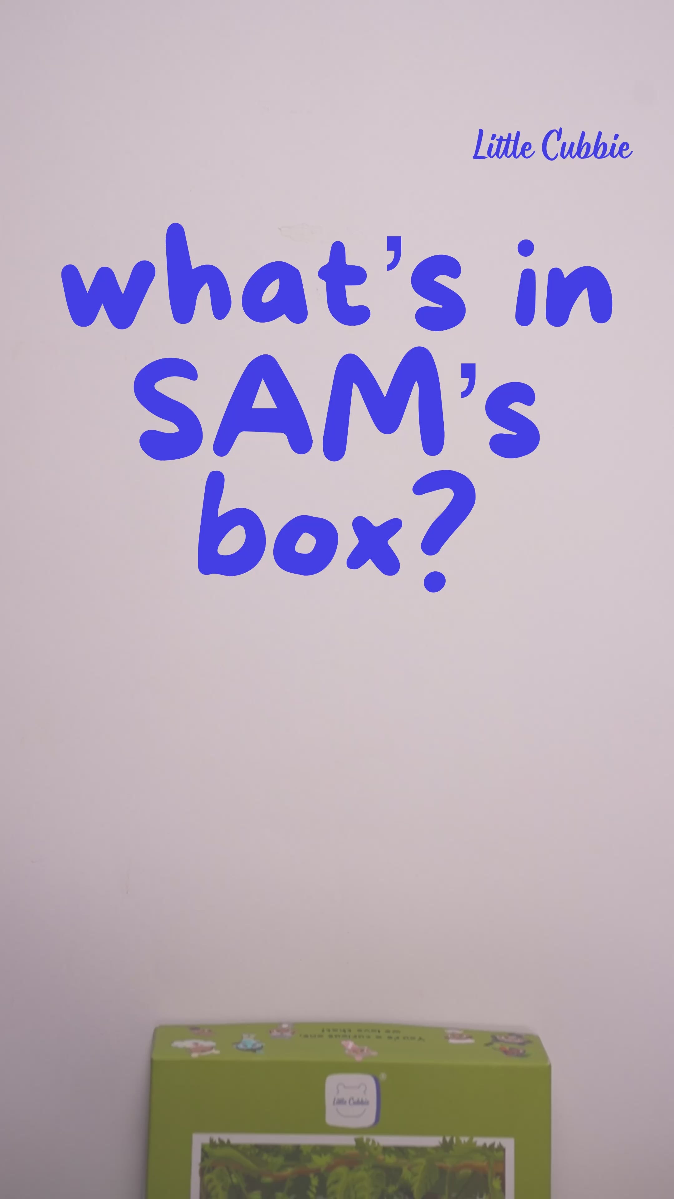 Video explaining what's in Sam's little cubbie box